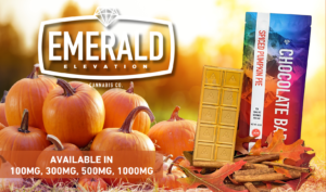 Discover the New Spiced Pumpkin Pie Flavor Chocolate Bar