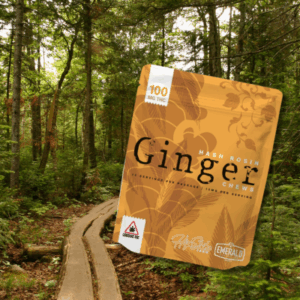 Forest Wandering in Baxter State Park + Ginger Chews
